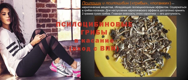 амф Абинск