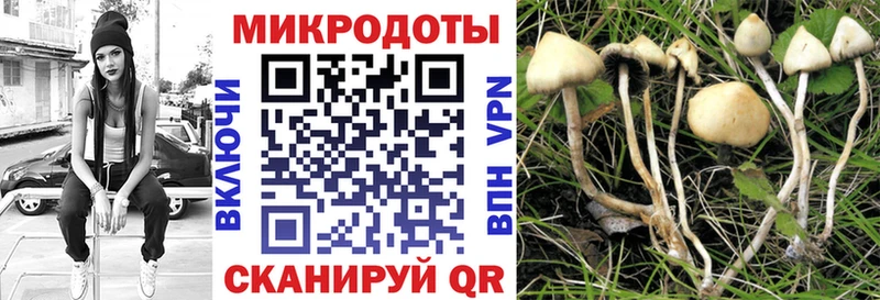 Галлюциногенные грибы мухоморы  Морозовск 