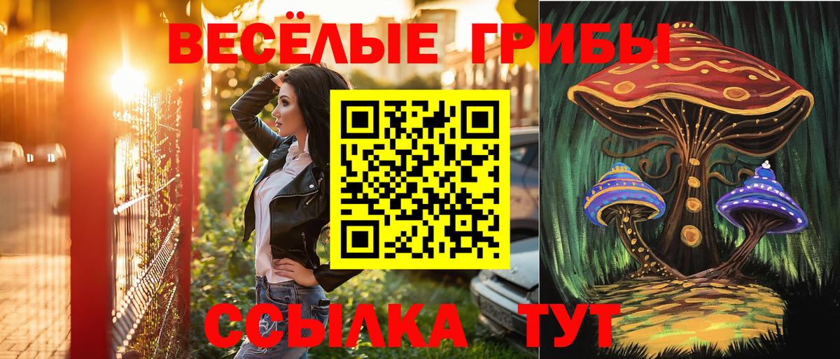 Галлюциногенные грибы MAGIC MUSHROOMS Морозовск